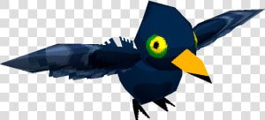 Download Zip Archive   Swallow  HD Png Download