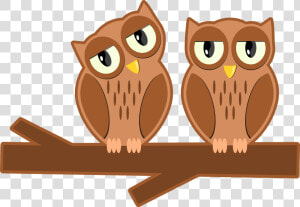 Owls On A Branch   Cartoon  HD Png Download