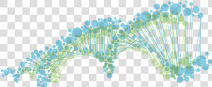 Genetics Transparent Background  HD Png Download