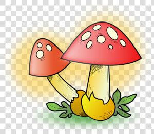 Transparent Mushrooms Png   Fungi Clipart  Png Download