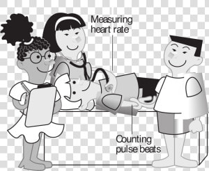 Kids Measuring Heart Rate Clip Arts   Head To Toe Nursing Assessment Cartoon  HD Png Download