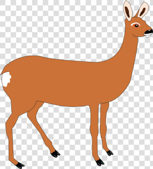 Free Clipart Of A Doe Deer  HD Png Download