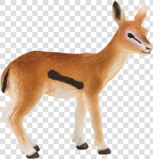 Com Lion Antelope Cheetah   Gazelle Transparent Background  HD Png Download