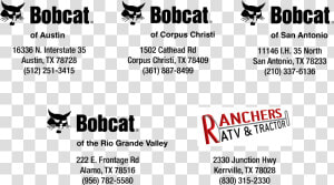 Bobcat  HD Png Download