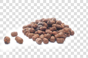 Expanded Clay Ball Provides An Innovative  Cost Effective    Expanded Clay Aggregate Blocks  HD Png Download