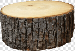 Log Png Image   Wooden Log Png  Transparent Png