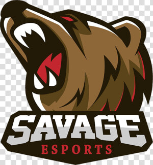 Savage Esports Png  Transparent Png