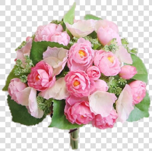 Floribunda  HD Png Download
