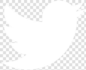 Thumb Image   Twitter Bird White Png  Transparent Png