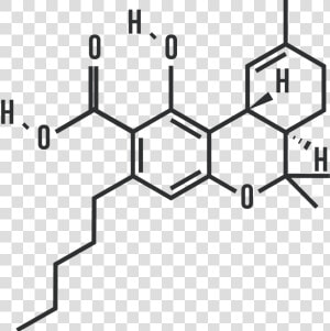 Benzo A Pyrene  HD Png Download