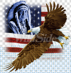 Transparent Eagle Wings Spread Clipart Black And White   Hawk  HD Png Download