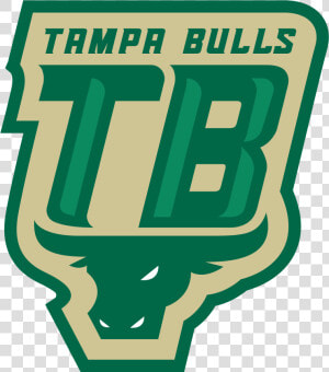 Tampa Bulls Tbt  HD Png Download