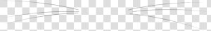  bigotes  gato  cat   Bigotes De Gato Png  Transparent Png