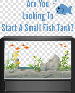 Aquarium Free Vector  HD Png Download