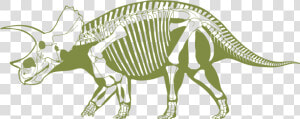 Skeliton Clipart Triceratops   Transparent Dino Fossil Clip Art  HD Png Download