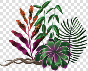 The Heart Of Whiteness Plant Illustration By Shyama   Ayahuasca Png  Transparent Png