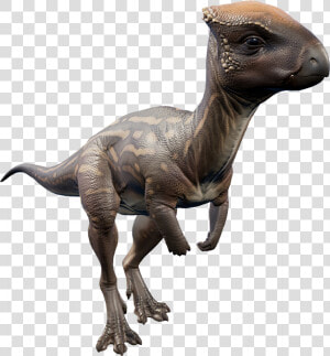     Jurassic World Evolution Dinosaurs Herbivore  HD Png Download
