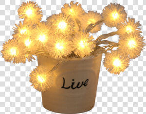 Centrepiece  HD Png Download
