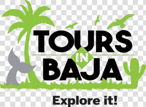 Tours In Baja   Baja Tours  HD Png Download