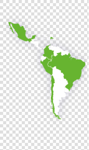 White Latin Americans Percentage  HD Png Download