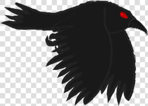 Preview   Woodpecker  HD Png Download