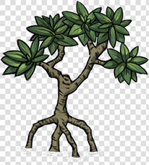 Shipwrecked Icon   Mangrove Clipart Png  Transparent Png