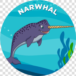 Narwhal   Mako Shark Cartoon  HD Png Download