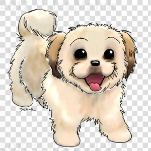 Brown Shih Tzu Cartoon  HD Png Download