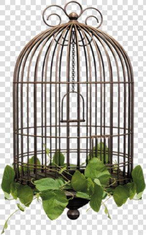  birdcage  cage   Bird Cage Transparent Background  HD Png Download
