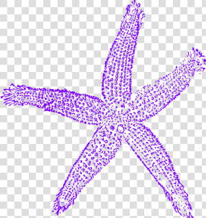 Maehr Purple Starfish Wedding Clip Art At Clker   Teal Starfish Clipart  HD Png Download