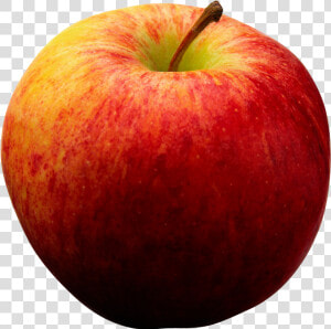 Would Win Apple Doctor  Png Download   Realistic Apples Clipart  Transparent Png