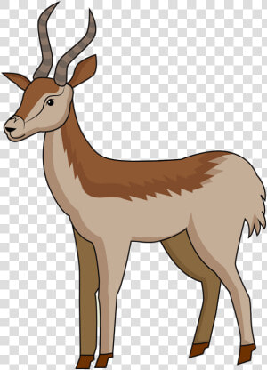 Gazelle  HD Png Download