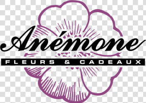Anemone Logo Png Transparent   Anemone Logo  Png Download