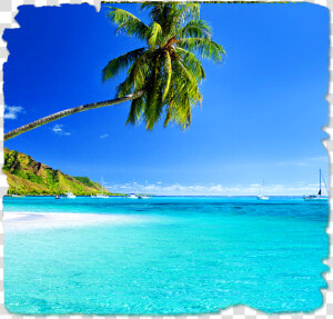 Playa De Australia Png  Transparent Png
