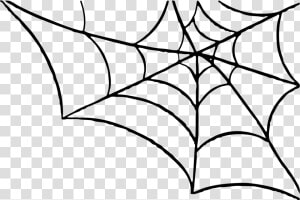 Best Spider Web Png   Spider Web Png Transparent  Png Download