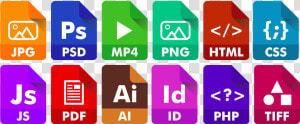 Formato De Archivo De Imagen  HD Png Download