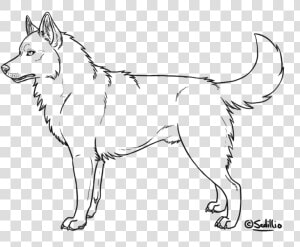 Realistic Clip Art Library   Husky Coloring Page  HD Png Download