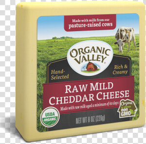 Cows Png  Transparent Png