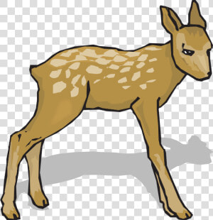 Suspicious Fawn Svg Clip Arts   Deer Do Re Mi Song  HD Png Download
