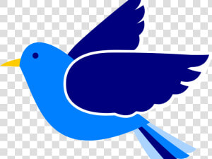 Bluebird Clipart Colourful Bird   Bird Clipart  HD Png Download