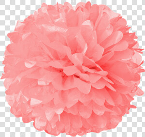 Pom Pom Png  Transparent Png