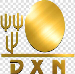 Logo De Dxn Png  Transparent Png