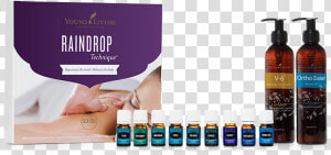 Raindrop Technique Young Living  HD Png Download