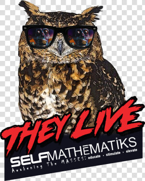 Image Of They Live Long Sleeve Classic T Original   Great Horned Owl  HD Png Download