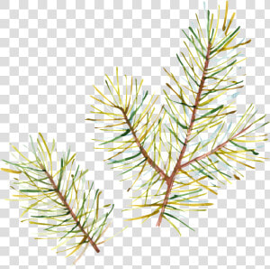 Hand Painted Half Withered Leaves Png Transparent   Aquarelle Christmas  Png Download