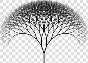 Fractal Png  Transparent Png