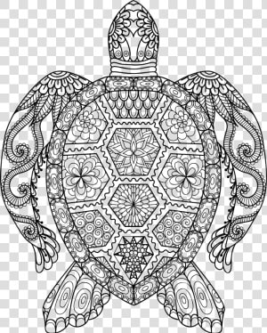 Sea Turtle Line Drawing   Mandala Animal Colouring Pages  HD Png Download