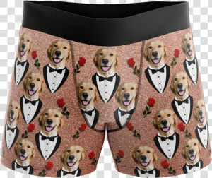 Put Your Face On Boxers   Shiba Inu Wearing Boxers  HD Png Download