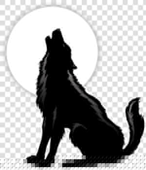 Razed By Wolves   Sitting Howling Wolf Silhouette  HD Png Download