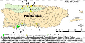 Puerto Rico En Blanco   Png Download   Puerto Rico En Blanco  Transparent Png
